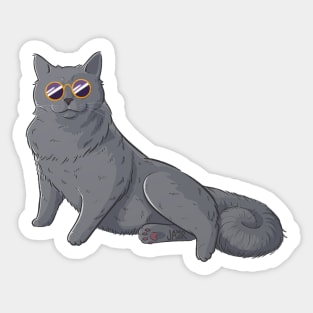 Beach Cat Sticker